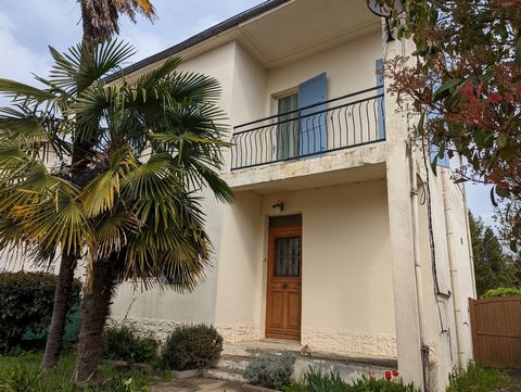 photo no. 19