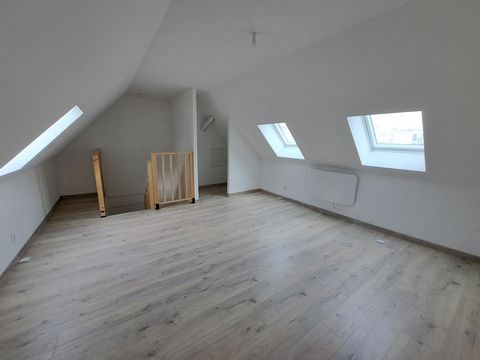 photo no. 11