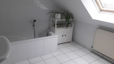 photo no. 8