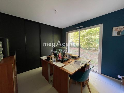 photo no. 8