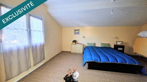 photo no. 12