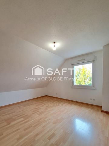 photo no. 11