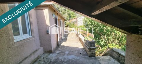 photo no. 8