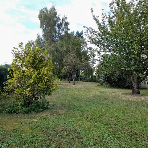 photo no. 5