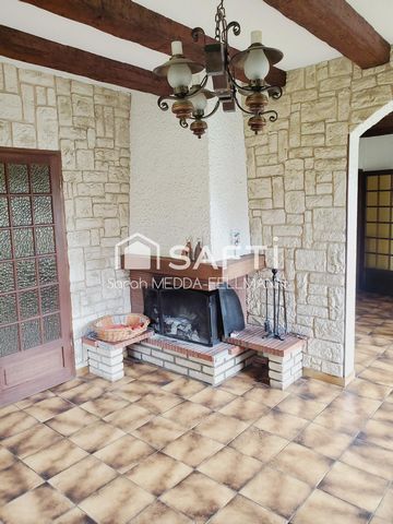 photo no. 11