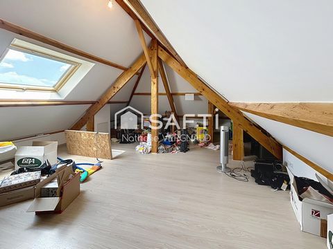 photo no. 11
