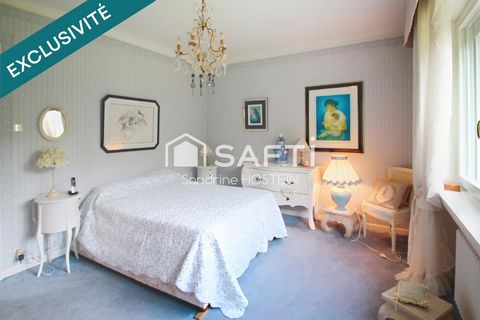photo no. 12