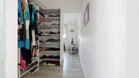 photo no. 11