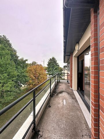 photo no. 8