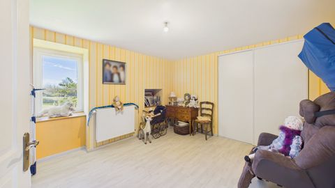photo no. 11