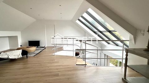 photo no. 12