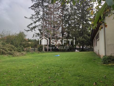 photo no. 13