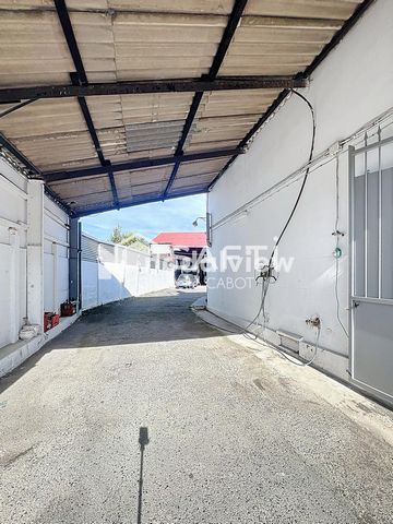 photo no. 13