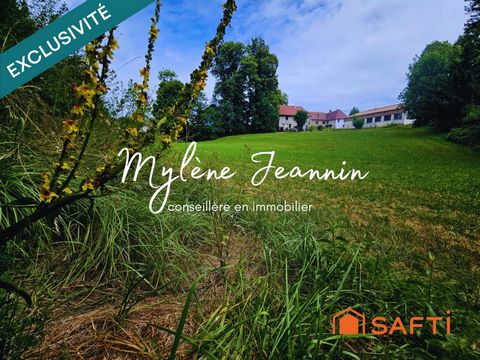 Terrain constructible