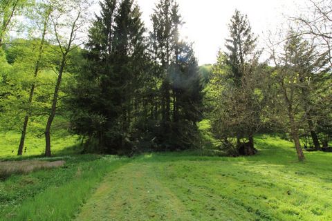 photo no. 1