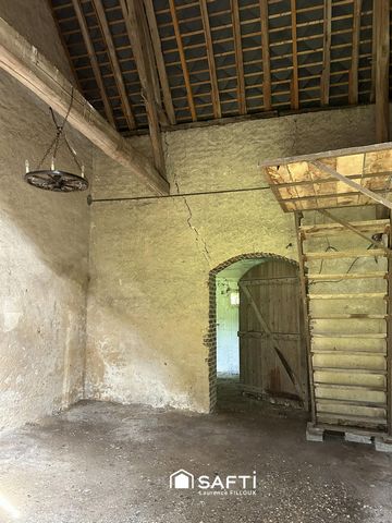 photo no. 10