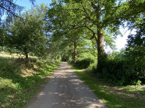 photo no. 19