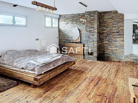 photo no. 7