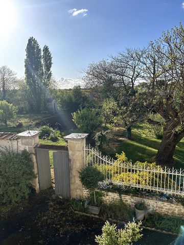 photo no. 9