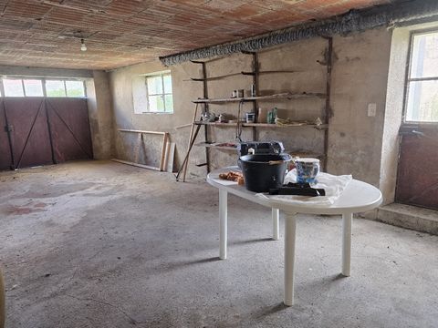 photo no. 11