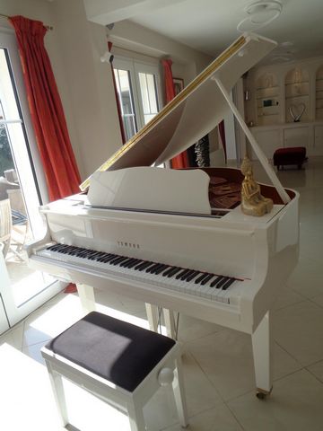 photo no. 4