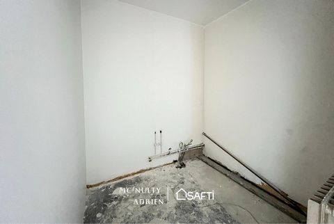 photo no. 11