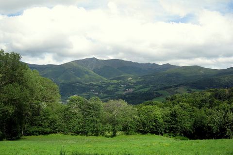 Land with ruins 2 kilometres from Castelnuovo di Garfagnana with all kind of services and shops, plot of land measuring 5,5 hectares, surrounded by green woodland and mountain views. The land is mostly woodland, with building land pieces and consists...