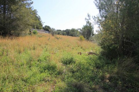 South facing, flat plot in a tranquil area. It would be possible for a purchaser to segregate this plot into three separate building plots of 1600m2 each.