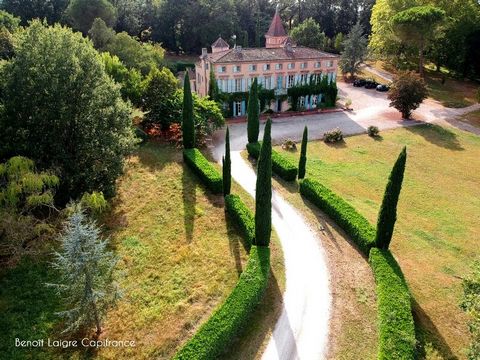 Dpt Haute Garonne (31), à vendre proche de TOULOUSE château meublé et décoré P19 de 800 m² - Terrain de 45 880 m²