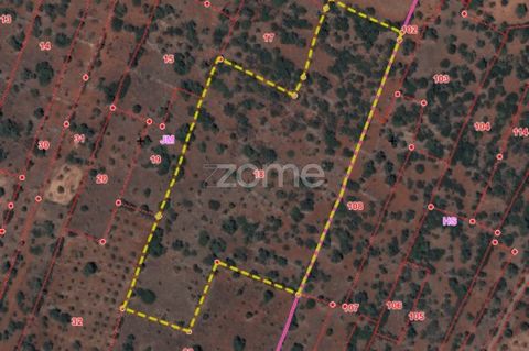 Property ID: ZMPT555995 Fantastic rustic land in Alcaria, Messines, for those looking for land for agricultural project, land with 27.240m2. Book your visit now! 3 reasons to buy with Zome + follow-up With a unique preparation and experience in the r...