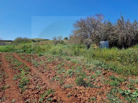 With a total area of 6080sqm, this very fertile land has good accessibility and is protected from the wind, by reeds and is partially fenced, with a wall. There is a small agricultural warehouse, to support the land with electricity. It is an ideal p...