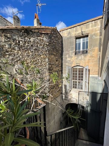 Dpt Bouches du Rhône (13), à vendre ARLES hôtel particulier avec un garage, une cour et une terrasse