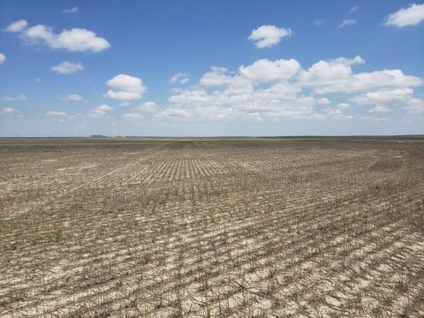 Wright's Farm and Ranch Parcel 13-A is a 480 +/- acre parcel (420 dryland and 60 grass). This parcel has a crop share lease for the 2023 crop season with the owner's share going to the Buyer. This parcel would be a great opportunity to add to your in...
