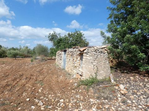 Total surface area 25300 m², rural property plot area 25300 m².