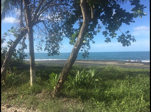 Large property, located in a quiet area, close to the Beach but out of the maritime zone. Borders with the animal rescue center and botanical garden 'Tree of Life'. Could be used as residencial area or even comercial. Property can be segregated in sm...
