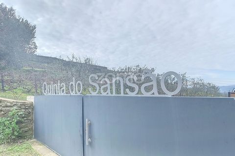 Identificação do imóvel: ZMPT563739 Welcome to Quinta do Sansão, a true gem nestled in Valença do Douro, spanning an impressive 45 thousand square meters. This unique property presents an exceptional opportunity in the stunning Douro landscape.This e...