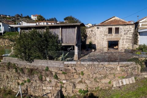 This charming 2+1 bedroom farm is located in Canelas, Penafiel, integrated into the stunning landscapes of the Douro Valley. The Quinta presents itself as an exceptional opportunity for those looking for an idyllic retreat among mountains with the po...
