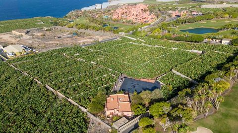 Descubra uma joia no sul de Tenerife: Uma propriedade impressionante está rodeada pelo maravilhoso campo de golfe do hotel Abama, uma propriedade excepcional localizada na Playa de San Juan, pertencente ao município de Guía de Isora. Com uma área tot...