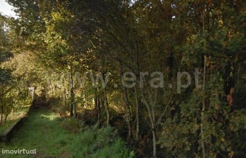 Land with 500 m2 in Cepães Land with: Area of 500 m2; Near the city; Quiet area; Good hits. Union of parishes of Cepães and Fareja Until the liberal reforms of the 19th century. Xix, Cepães had the status of honor , privileged territory of a lord, wh...