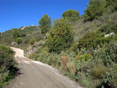 A wonderful plot between the village of Torrox and Frigiliana, about 40 minutes by car from the coast. The property measures 69.000 m2 and has breathtaking views to the sea, mountains and the village of Torrox. It has several access routes, land with...