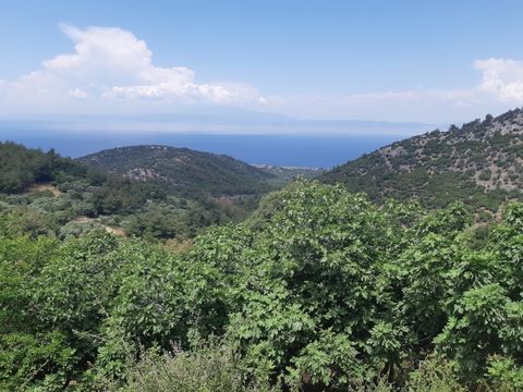 Property Code. 11501 - Agricultural FOR SALE in Thasos Sotiras for €55.000 . Discover the features of this 817 sq. m. Agricultural: Distance from sea 2400 meters, Distance from nearest village: 500 meters, Facade length: 20 meters, depth: 40 meters T...
