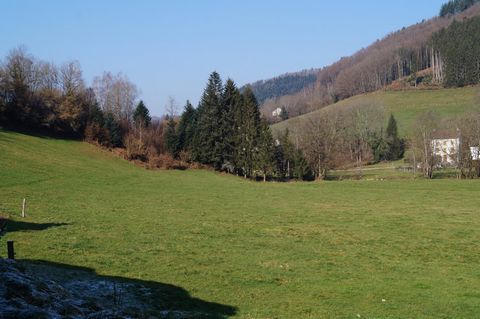 Do you want to build the house of your dreams in a quiet area? Close to a stream, mountain and forest views? Eccentric but not lost, you stay close to all amenities while enjoying our beautiful Vosges nature. This flat land in the town of Val-D'Ajol ...