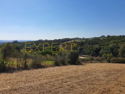 Cod. Ext. 7093 Land with an area of 656 m2, with an approved project for housing, consisting of living room/kitchen (65 m2), 3 suites with dressing room (1 on the ground floor and 2 on the ground floor). Porches with stunning views. Gated parking for...