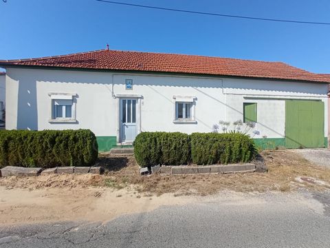 Nous vous présentons une excellente villa de 2 chambres, située à Vimeiro, Alcobaça, avec une vue imprenable sur le paysage environnant, avec environ 7 500m2. Cette propriété offre un grand potentiel, tant pour l’habitation familiale que pour l’inves...