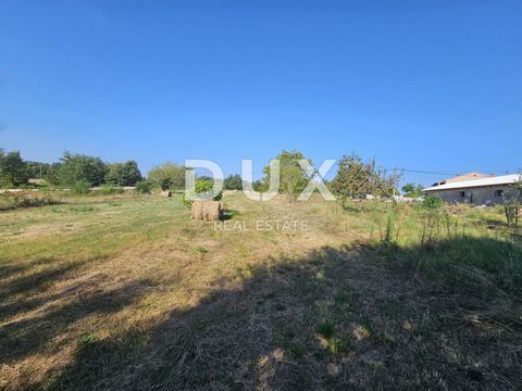 Location: Istarska županija, Žminj, Žminj. ISTRIA, ŽMINJ - Terreno edificabile in una posizione tranquilla! OPPORTUNITÀ! Nell'offerta immobiliare DUX vi offriamo un bel terreno edificabile in un piccolo villaggio non lontano dalla città di Gimino. È ...