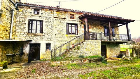 photo no. 5