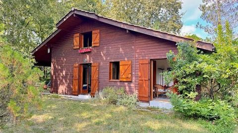 ALLEINVERTRETER, Privilegierte Lage für dieses Chalet in ausgezeichnetem Zustand. Es präsentiert im Erdgeschoss ein helles Wohnzimmer von ca. 35 m², das hauptsächlich nach Süden ausgerichtet ist, aber von der dreifachen Ausrichtung E/S/W mit offenem ...