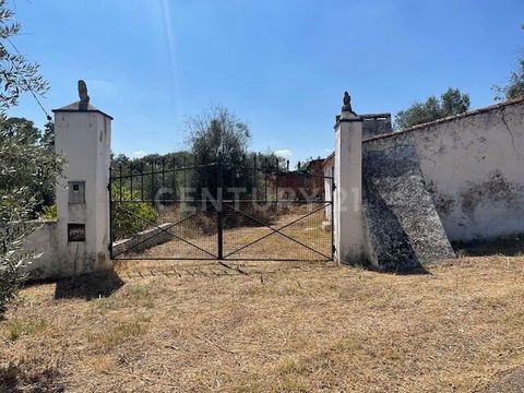 Wir präsentieren dieses herrliche rustikale Anwesen, das sich in einer ruhigen Gegend befindet und von der natürlichen Schönheit der portugiesischen Landschaft umgeben ist. Das Anwesen besteht aus einem weitläufigen Olivenhain und mehreren Korkeichen...