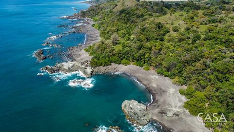 Présentation de la ferme en bord de mer Grand Cambutal - un coin de paradis sur la péninsule d’Azuero Actuellement disponible à la vente est la plus grande et la plus époustouflante ferme de la plage de Cambutal. Offrant plus de 260 hectares de pure ...