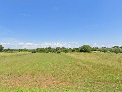 Location: Istarska županija, Barban, Manjadvorci. Landwirtschaftliches Grundstück in der Nähe von Manjadvorci - ideal für Oliven- und Weinbau Zum Verkauf steht ein attraktives landwirtschaftliches Grundstück mit einer Fläche von 4.800 m², das sich in...